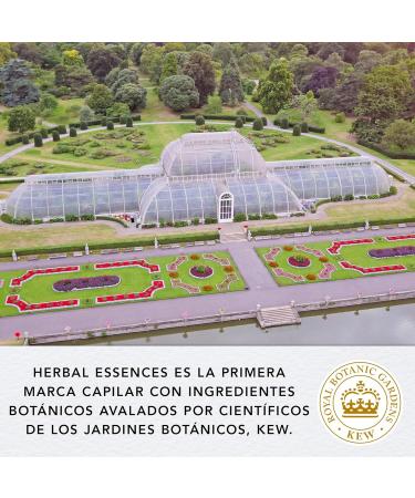 Buy Herbal Masc Spara Argan 250ml - Nourishing Hair Treatment | International Shipping Available - Buy Online on GoSupps.com