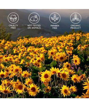 Arnika Gel Forte 90% - Natural Muscle & Joint Balm | Miracle Sports Gel for Preparation & Aftercare | 2 x 200 ml - Buy Online on GoSupps.com