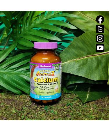 Bluebonnet Nutrition Super Earth Rainforest Animalz - Calcium, Magnesium & Vitamin D3 Chewables - 90 Natural Vanilla Frosting Flavored Gummies - Buy Online on GoSupps.com