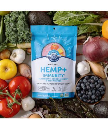 Manitoba Harvest Organic Hemp+ Immunity Elderberry Acerola Cherry & Beet Powder Smoothie Booster Powder Blend 7.5 oz - Buy Online on GoSupps.com