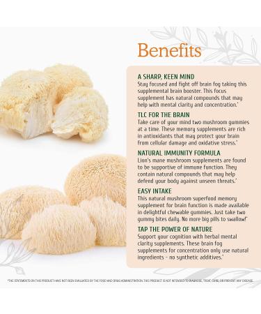 Organic Lion's Mane Gummies - Vegan Hericium Erinaceus Supplement - Brain & Cognitive Health Support - 60 Count - Buy Online on GoSupps.com