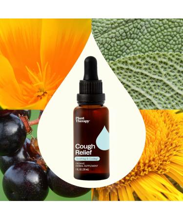 Plant Therapy Organic Cough Relief Tincture 30 mL (1 oz) Naturally Soothes & Cools Irritated Throats Supports Easier Breathing & Cough Relief Organic Glycerin-Based Tincture Blend - Buy Online on GoSupps.com