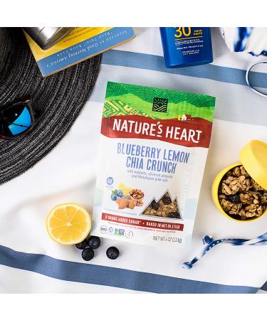 Nature's Heart Blueberry Lemon Chia Crunch Healthy Mixed Nuts Snack | Keto, Gluten Free, Vegan, Low Carb, Paleo | Ethically Sourced - Bulk Pack of 8 - Buy Online on GoSupps.com