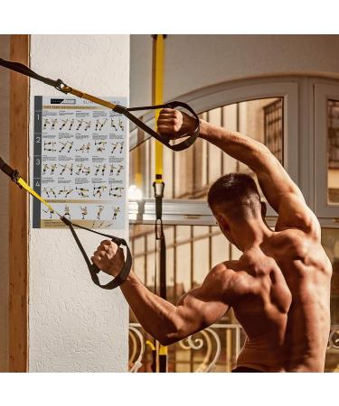Buy Clean Sports Ceiling Holder for Boxing Bags & Sling Trainers - 400kg Stainless Steel Bracket with Carabiner Hook - International Shipping Available - Buy Online on GoSupps.com