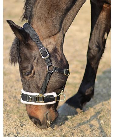T TEKE Lunge Cavesson - Black Full Size with Fleece Lined Nose Band - Buy Online on GoSupps.com