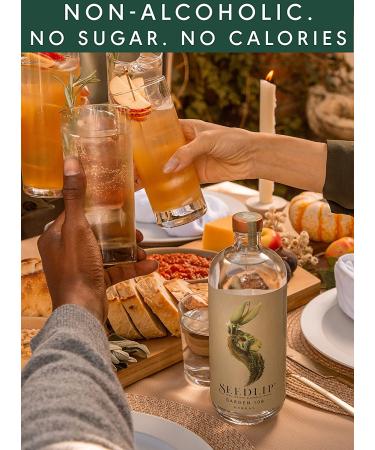 Seedlip Garden 108 - Non-Alcoholic Spirit, Calorie & Sugar Free, 700ml | Best for Alcohol-Free Cocktails - Buy Online on GoSupps.com