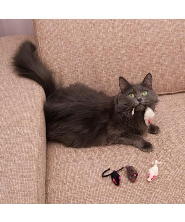 Elanox 10 Set Spielm us Cat Toys - Plastic-Free Bell Included Assorted Mix for All Cat Breeds - Buy Online on GoSupps.com