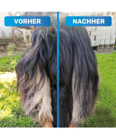 Bluepet Gloss Dance Fur Tubular De-Tunnel for Long-Haired Dogs & Cats - High-Quality Knot-Removing Dog Bar with Dual Row Pins & Perfectly Smooth Grooming (2.0 Blue) - Buy Online on GoSupps.com