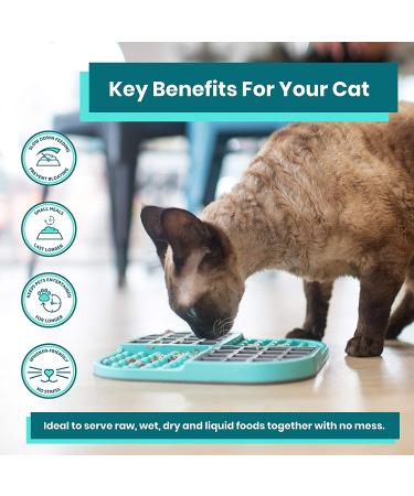 Lickimat Cat & Kitten Slomo Food Lick Mat Combo Feeder - Turquoise | Slow Feeder for Wet/Dry Food, Anxiety Relief & Interactive Puzzle Toy - Buy Online on GoSupps.com