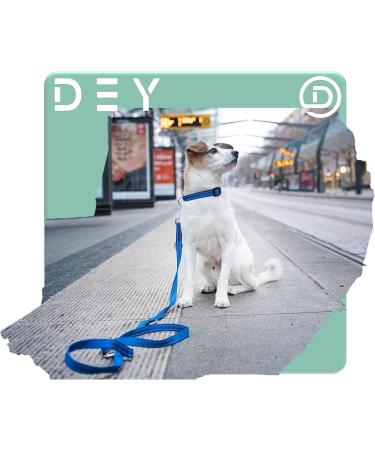 Premium 2m Reflective Dog Leash | Adjustable 3-Way Design for All Dog Sizes | Durable Nylon | Doubleein Dog | Multiple Colors Available | Lila S - 1.5 x 200 cm - Buy Online on GoSupps.com
