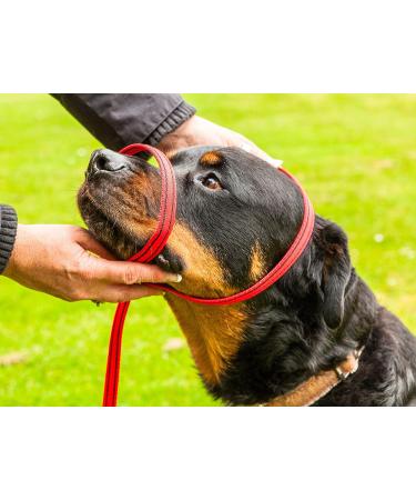 Gencon Mini All-in-1 Headcollar and Lead Black Left-Handed - Buy Online on GoSupps.com