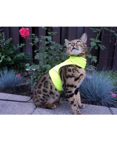 Mynwood Cat Jacket/Harness High Viz Adult Cat