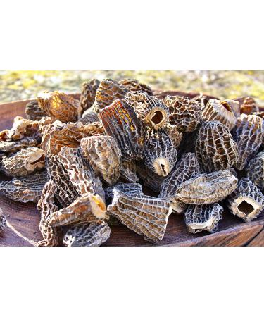 Morel Mushrooms Popular Choice CAPS (2-6 cm) - no Tails - Hand Picked Sun-Dried (30 gr) 30.0 grams - Buy Online on GoSupps.com