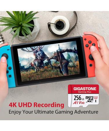 Gigastone 256GB Micro SD Card for Nintendo-Switch, GoPro, Dash Cam - 4K Video, UHS-I A1 U3 V30, up to 100MB/s - Buy Online on GoSupps.com