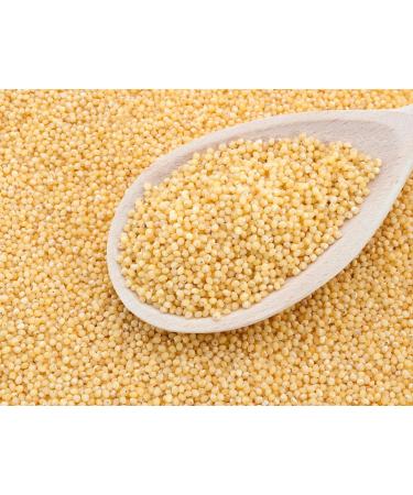 Organic Millet Grain 500g by Hatton Hill Organic - Free UK Delivery | Pack of 1 - Buy Online on GoSupps.com