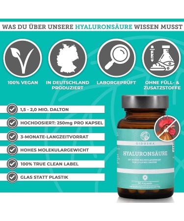 Qidosha Premium Hyaluronic Acid Capsules - 250mg Vegan Test Winner '07/23 High Molecular Weight 90 Capsules in Pharmacy Glass - Buy Online on GoSupps.com