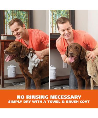 Wahl Pet Friendly Waterless Shampoo 7.1 oz - Oatmeal & Coconut Lime Verbena for Dogs, Cats, Horses - No Rinse, Cleaning, Conditioning - Buy Online on GoSupps.com