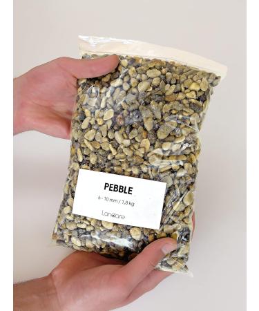 Landare Pebble Stones 1.8kg - Decorative Stones for Vases & Garden | Small Gravel (6-10mm) - Perfect for Home Decoration - Buy Online on GoSupps.com