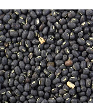 Rani Urid/Urad Whole Black (Matpe Beans with Skin) Indian Lentils 128oz (8lbs) 3.63kg Bulk All Natural | Gluten Friendly | NON-GMO | Kosher | Vegan | Indian Origin - Buy Online on GoSupps.com