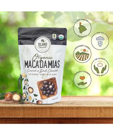 Organic Dark Chocolate Covered Macadamia Nuts - Island Harvest, Hawaiian Grown, All-Natural Keto Snack, Non-GMO, High Fiber - 2 Pack (9 oz) - Buy Online on GoSupps.com