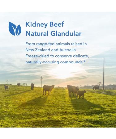 Allergy Research Group Kidney Beef Glandular - 100 Natural Vegicaps - Buy Online on GoSupps.com
