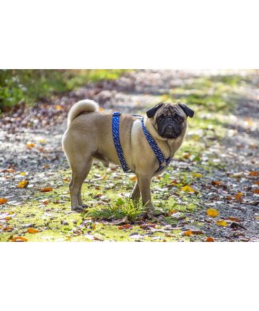 Buy Karlie Art Sportiv Plus Harness - Blue Arrows 20mm Width Adjustable 45-70cm - International Shipping Available - Buy Online on GoSupps.com