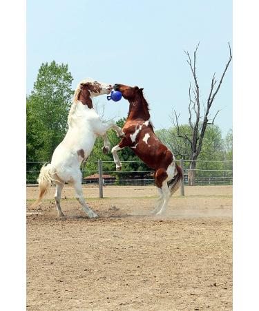 Horsemen's 10 Jolly Ball Horse Toy - Durable & Fun Equine Play! - Buy Online on GoSupps.com