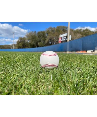 Blank Leather Baseball for Autographs, Crafts & Souvenirs | Regulation Size & Weight, Quality Stitching - Perfect for Custom Gifts & Youth Play - Buy Online on GoSupps.com