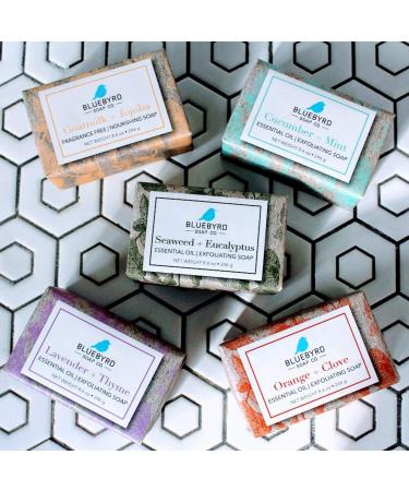 BlueByrd Soap Co. Exfoliating Essential Oil Soap Variety Set - 5-Pack Gift Box with Vegan Bars in Cucumber Mint, Lavender Thyme, Orange Clove, Seaweed Eucalyptus Scents - Buy Online on GoSupps.com
