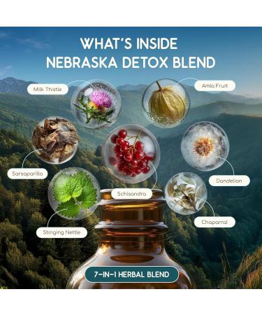 HerbEra Nebraska Herbal Detox Blend - USDA Organic Extract Made in USA | Immune & Liver Support Liquid Drops | Amla Dandelion Root Milk Thistle Sarsaparilla Schisandra | 2 fl oz - Buy Online on GoSupps.com