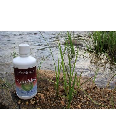 SeaAloe Liquid Whole Food - 32 Ounces | Powerhouse of Nutrients - Buy Online on GoSupps.com