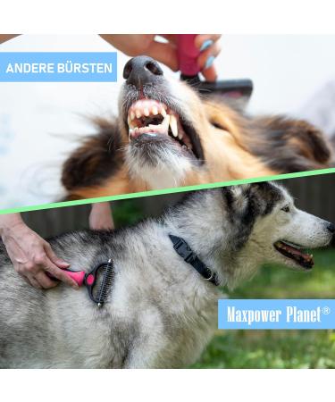 Maxpower Planet Hund- und Katzenb rste Sanfte Wollb rste f r Langhaartiere Doppel-seitiger Hundekamm & Katzenkamm in Pink Gro e Gr e - Buy Online on GoSupps.com
