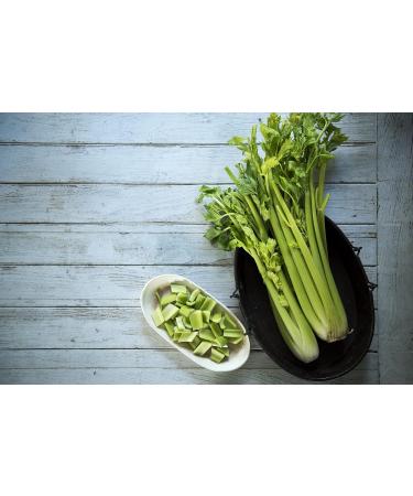 Taldi Creme Crostini Tuscany - Authentic Italian Dip & Specialty Sauce | 130g Tuscan Art Cream Spread - Buy Online on GoSupps.com