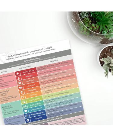 Compass for Coaching & Therapy | Non-Violent Communication by Marshall Rosenberg | Identify Your Needs in German - Buy Online on GoSupps.com