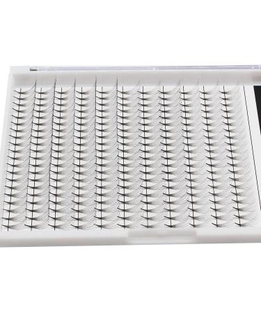 Large Tray Dedila Long Stem D Curl 10D Volume Premade Fans - Mixed Lengths 8-14mm | Premium Individual False Eyelashes Extensions - Buy Online on GoSupps.com
