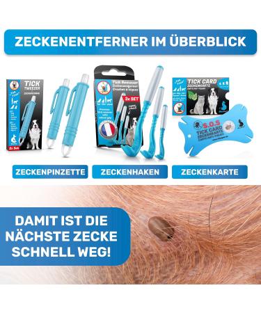 Bluepet 2x Tick Card with Magnifying Glass - Effective Tick Remover for Humans & Pets - First Aid Solution for Dogs & Cats - Buy Online on GoSupps.com