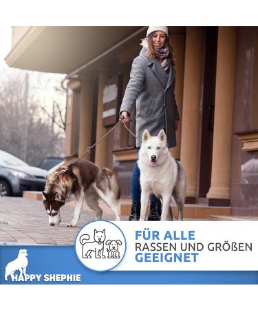 Happyshephie Adjustable Dog Leash 2.5m | Ideal for Medium & Large Dogs | Durable Reversal & Double Leash - Beige Desert Sand - Buy Online on GoSupps.com