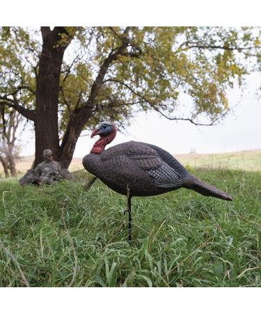 Lucky Duck Turkey Decoys HD Collapsible Jake - High-Quality Hunting Decoy - Buy Online on GoSupps.com