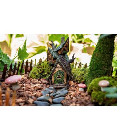 SuperMoss Fairy Garden Kit - 4 oz Mixed Mosses (50310) - Buy Online on GoSupps.com