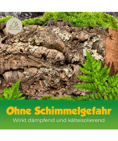 Cork Bark (Rodent Reptile Decoration Modelling Model Railway Scenery) cork wood tree oak (3 pcs.) - Buy Online on GoSupps.com