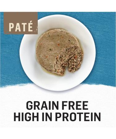 Beyond Wet Cat Food Arctic Char & Spinach Pate - 85 g Can (12 Pack) - Buy Online on GoSupps.com