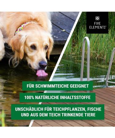 FIVE Elements Bio-Teich Sludge Remover - 5.0L | Optimal Pond Care for Spring | Enhance Water Quality | International Shipping Available - Buy Online on GoSupps.com