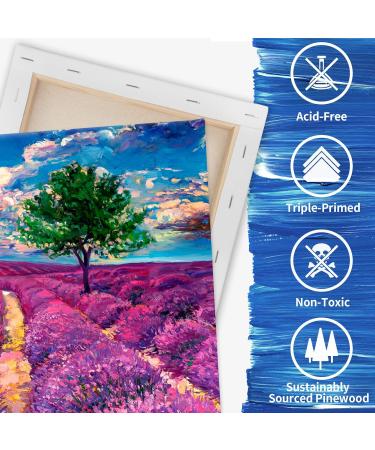 FIXSMITH 11x14 Inch Stretched White Blank Canvas - 8 Pack, 100% Cotton, Primed for Acrylics & Oils - Buy Online on GoSupps.com
