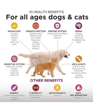 Premium Omega-3 Supplement for Pets - Natural Coat and Immune Support - Cod Liver Oil - 100ml - Buy Online on GoSupps.com