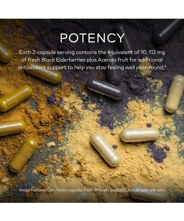 Buy Gaia Herbs Black Elderberry & Acerola Fruit â€“ 60 Vegan Capsules for Immune Support - Buy Online on GoSupps.com