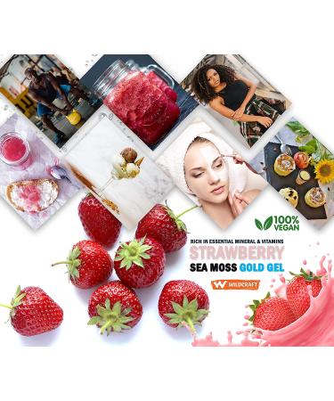 Dualspices Wildcrafted Sea Moss Raw With Strawberry (with some pulp) Gel 16 Oz. Pure and Natural - High-Potency Vegan Superfood - Heart  Lung  Gut Health and Immunity Support - Made in the USA - Buy Online on GoSupps.com