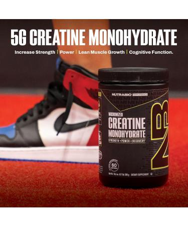 NutraBio Pure Micronized Creatine Monohydrate Powder Supplement, Unflavored, (300 g) - Supports Bulk Muscle Energy, Recovery, and Strength - HPLC Tested Creatine Powder Supplement for Men and Women Unflavored 300g - Buy Online on GoSupps.com