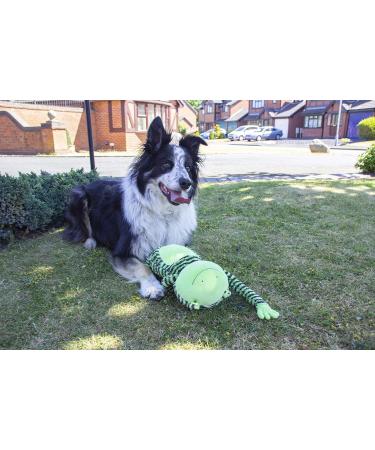 Rosewood FROGGY LONG LEGS Green Froggy Long Legs One Size (Pack of 1) - Buy Online on GoSupps.com