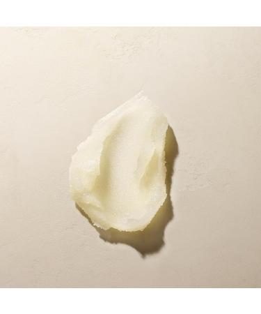 Josie Maran Argan Sugar Body Scrub Trio - 3-Piece Body Care Set - Softens, Smoothes & Hydrates Dry Skin - Includes Scents Sweet Clementine, Peppermint Bark & Sweet Cranberry (3 Count) - Buy Online on GoSupps.com