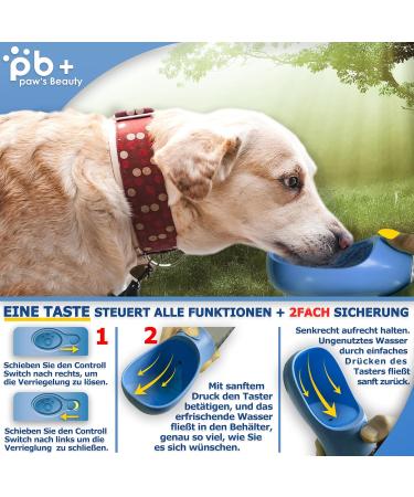 NEW 3 Series Dog Drinking Bottle Gift Set | 550ml Leak-Proof Bottle with Food Container & Toothbrush - Premium On-the-Go Solution for Dogs - Blue - Buy Online on GoSupps.com